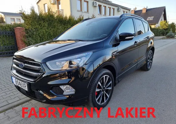 samochody osobowe Ford Kuga cena 109899 przebieg: 70000, rok produkcji 2019 z Sosnowiec